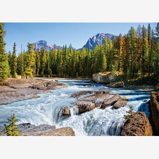 1500 bitar - Athabasca River, Jasper National Park, Canada