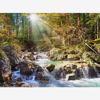 2000 bitar - Stream in the Forest