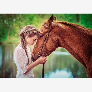 500 bitar - Great Friendship
