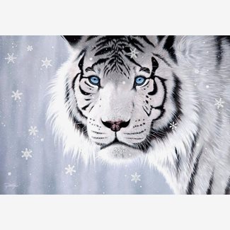 500 bitar - John Rattenbury, Crystal eyes