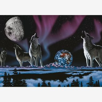 1000 bitar - William Schimmel, Song of the Universe