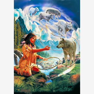 1000 bitar - Robin Koni, Dream Catcher