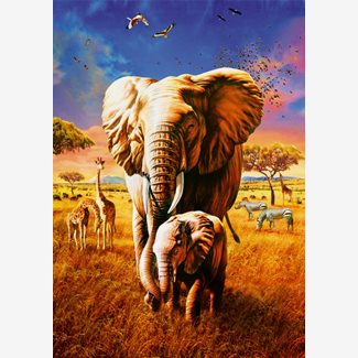 1000 bitar - Adrian Chesterman, Elephant