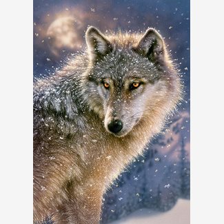 500 bitar - Lone wolf