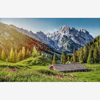 500 bitar - Summer in the alps