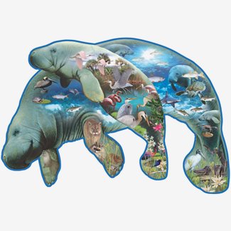 1000 bitar - Dennis Rogers, Manatees