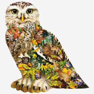 1000 bitar - Lori Schory, Forest messenger