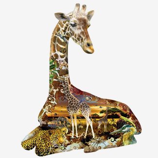 700 bitar - Lori Schory, African Spots