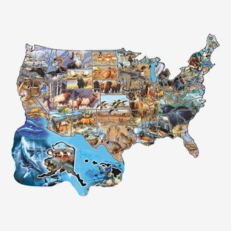 600 bitar - Cynthie Fisher - Wild America