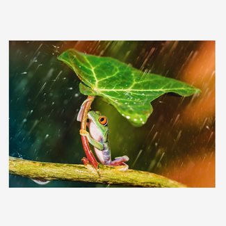 500 bitar - Green umbrella