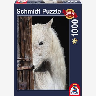 1000 bitar - Equine beauty