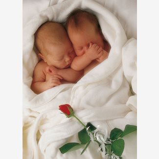 1000 bitar - Anne Geddes, Milly & Natalie