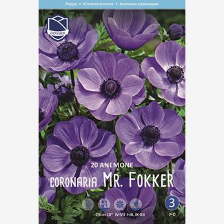 Anemon, Mr. Fokker