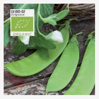 Ärt, Socker-, Norli, låg, Organic