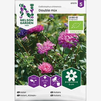 Aster, Double mix - Organic