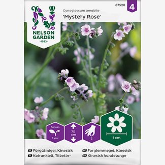 Förgätmigej, kinesiks Mystery Rose - Organic