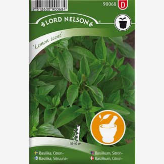 Basilika, Citron-, Lemon scent