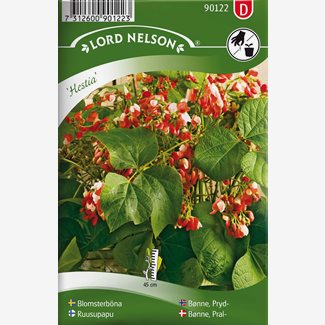 Böna, Blomster-, Hestia, låg