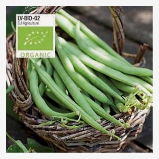 Böna, brytböna, Maxi, Organic