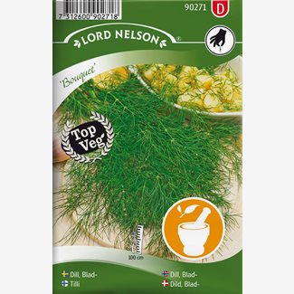 Dill, Blad-, Bouquet