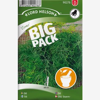 Dill, Vanlig, Como, Big Pack