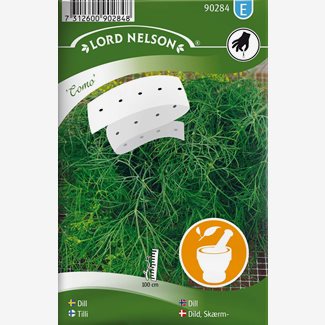 Dill, Vanlig, Como, Såband
