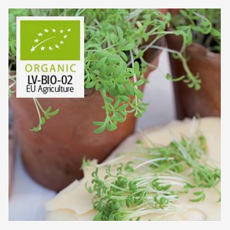 Krasse, smörgåskrasse, Organic