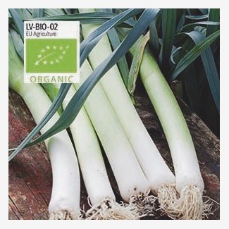 Lök, purjolök, Herfstreuzen 3, Organic