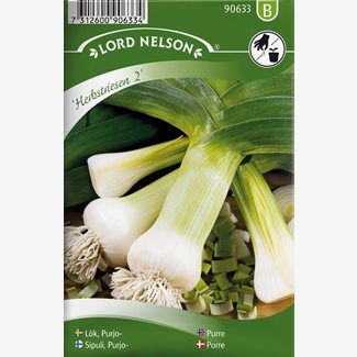 Lök, Purjo-, Herbstriesen 2, höst