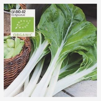 Mangold, White silver 3, Organic