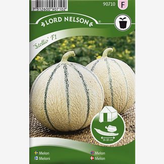 Melon