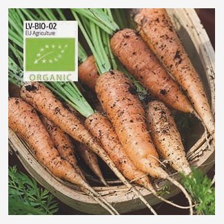 Morot, Sommarmorot, Berlicum 2, Organic