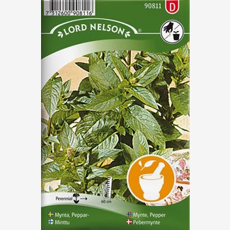 Mynta, Peppar-