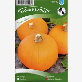 Pumpa