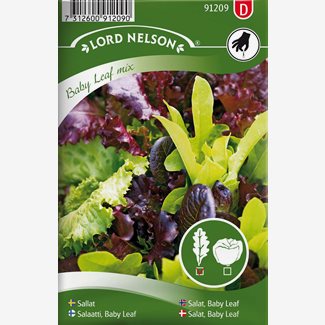 Sallat, Baby Leaf, mix