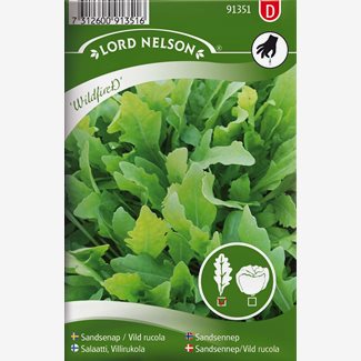 Rucola / Sandsenap, Wildfire