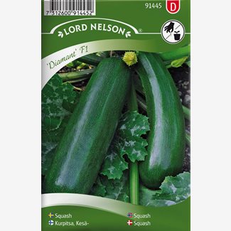 Squash, Diamant F1