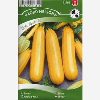 Squash, Soleil F1, gul