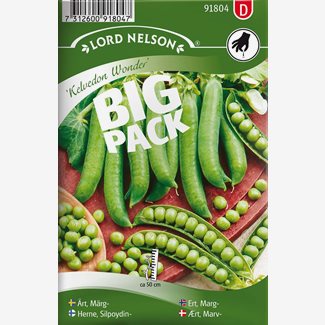Ärt, Märg-, Kelvedon Wonder, Big Pack