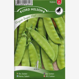 Ärt, Socker-, Oregon Sugar Pod, halvhög
