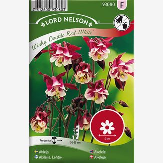 Akleja, Winky Double Red-White