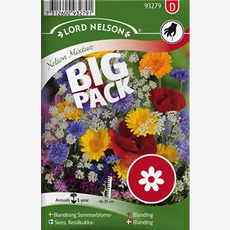 Mix, Sommarblommor,bl.färg. Big Pack