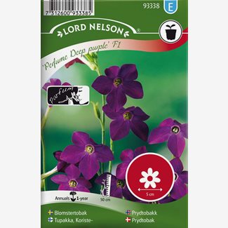 Blomstertobak, Perfume Deep Purple F1