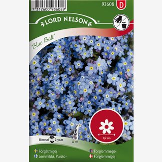 Förgätmigej, Blue Ball, blå