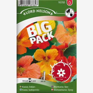 Krasse, Slinger-,  bl färger Big Pack