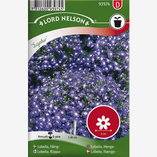 Lobelia, Häng-, Saphir, blå