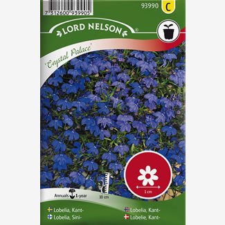 Lobelia, Kant-, Crystal Palace