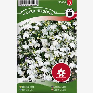 Lobelia, Kant-, Snowball, vit
