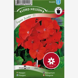 Pelargon, Inspire Scarlet F1, röd