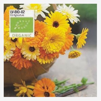Ringblomma, blandade färger, Organic